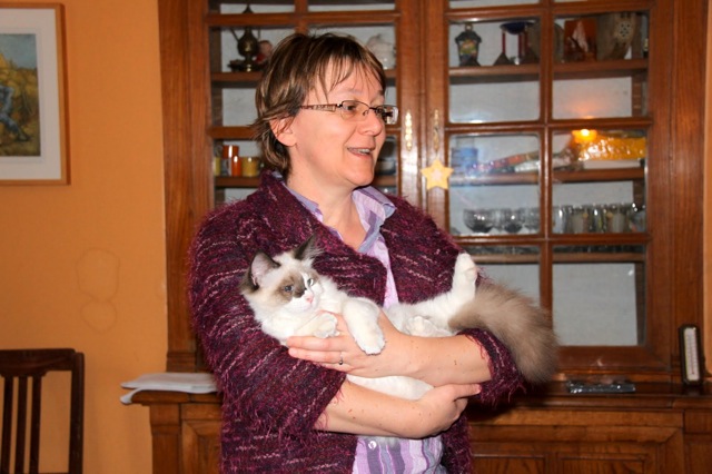 Françoise ragdoll Escale